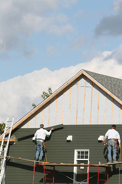 Best Historical Building Siding Restoration  in Knox, IN